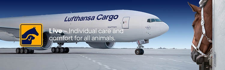 Live Air Freight Price هزینه ارسال حیوان خانگی با هواپیما