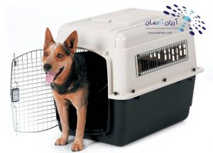 Live animal kennel-min