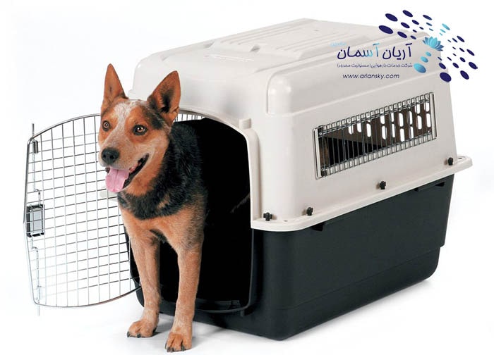 Live animal kennel-min شرایط قفس (کنل) حیوان زنده در حمل هوایی
