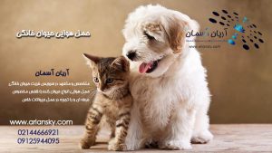 ارسال هوایی حیوان خانگی | بهترین قیمت