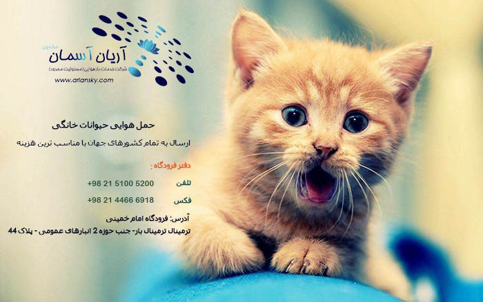 Livestock-Shipping-or-Pets شرایط فریت هوایی حیوان خانگی