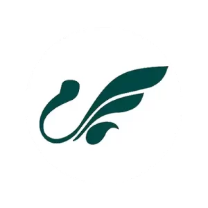 mahan-air